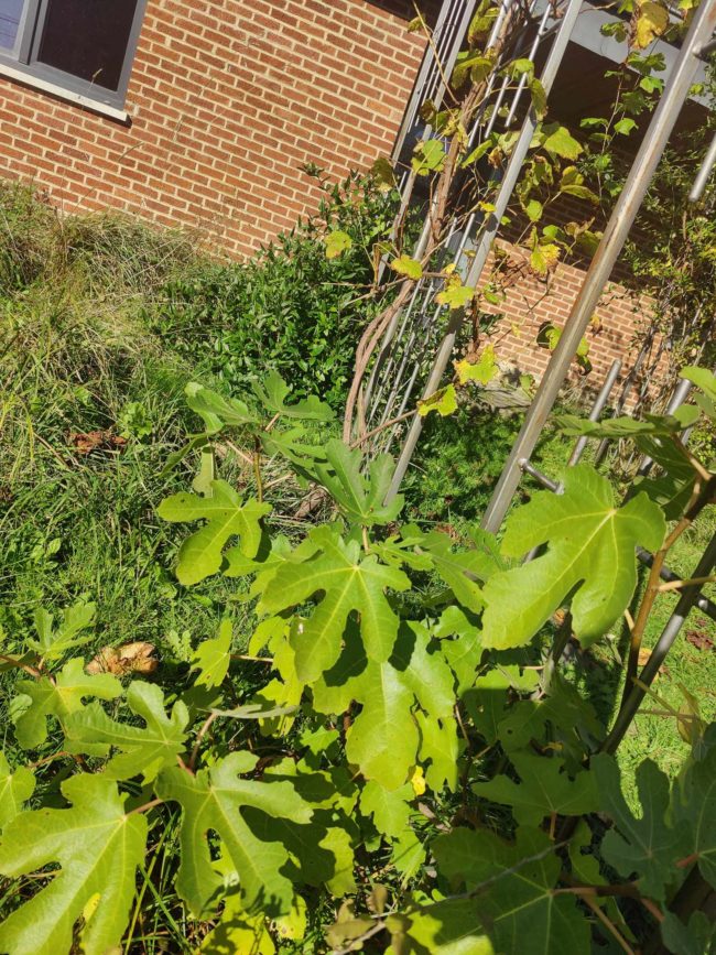 Eco-colocation région Marche-en-Famenne