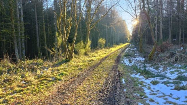 Elaboration d’un projet en Ardennes Liégioises