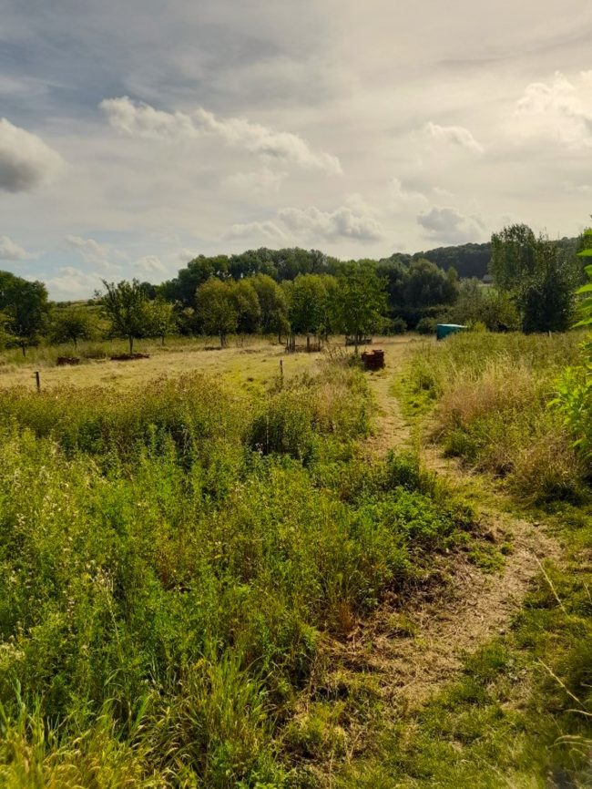 Propriété pour habitat groupé