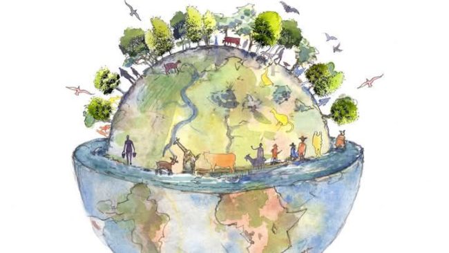 Recherche petite maison dans un habitat groupé, un village vivant, proche d’autres êtres humains