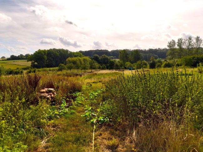 Propriété pour habitat groupé