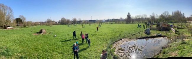 L’HG « warisoulx garden » recherche une dernière famille