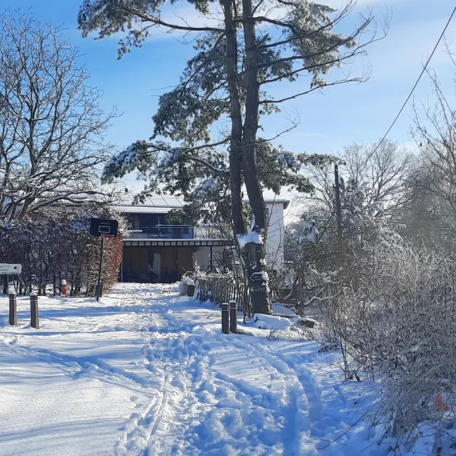 Qui est à la recherche d’un lieu pour passer l’hiver? – Rebecq- Brabant Wallon