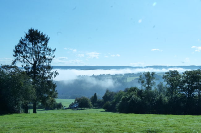 Elaboration d’un projet en Ardennes Liégioises