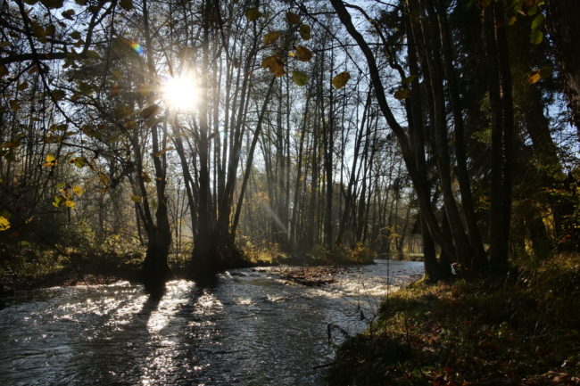 Elaboration d’un projet en Ardennes Liégioises