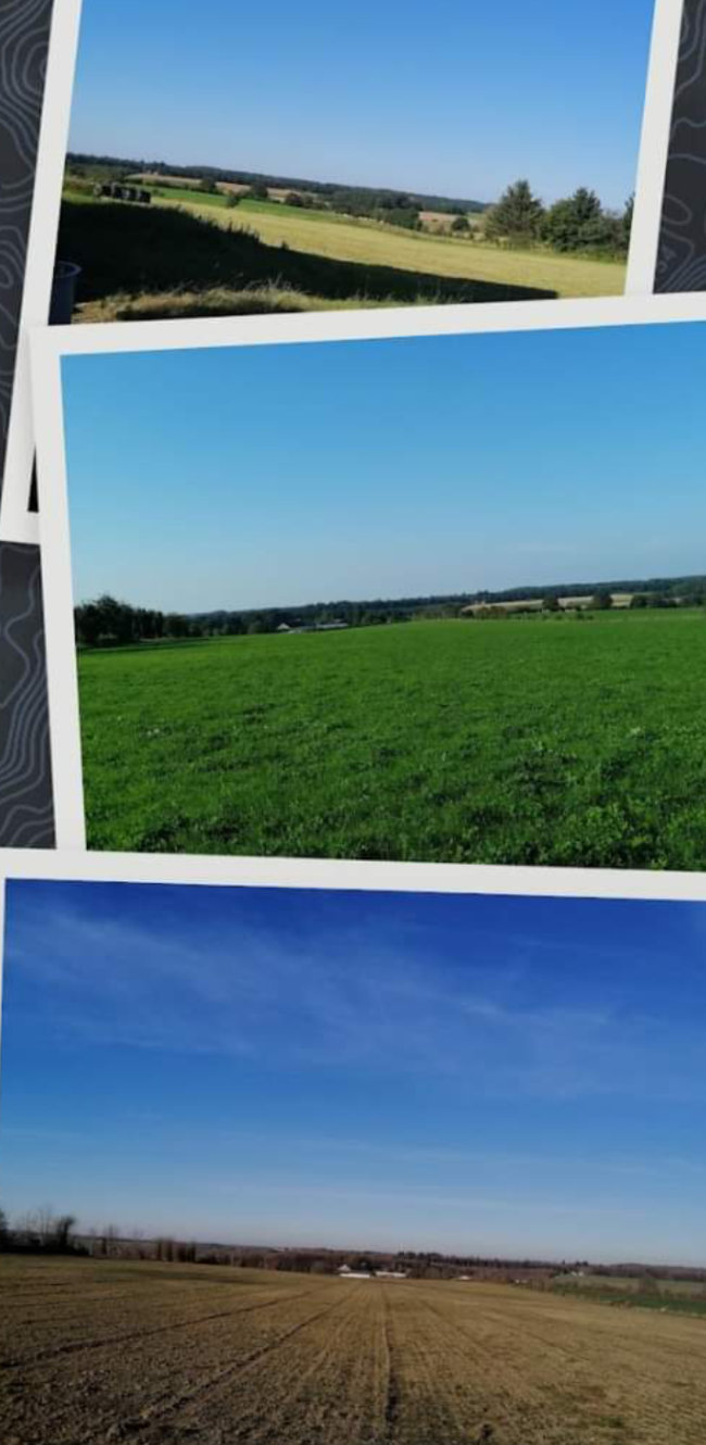 Location à la campagne avec aménagement d’extérieur commun