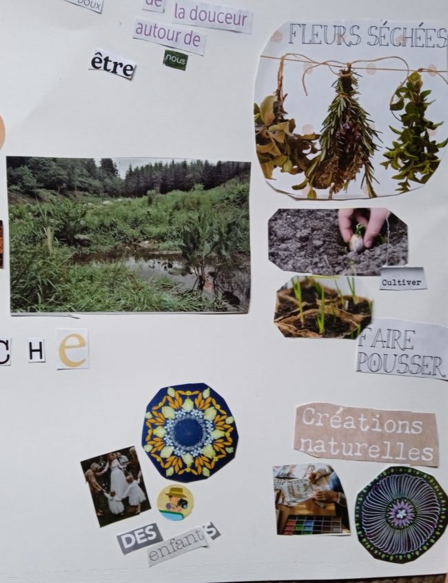 Recherche petite maison dans un habitat groupé, un village vivant, proche d’autres êtres humains