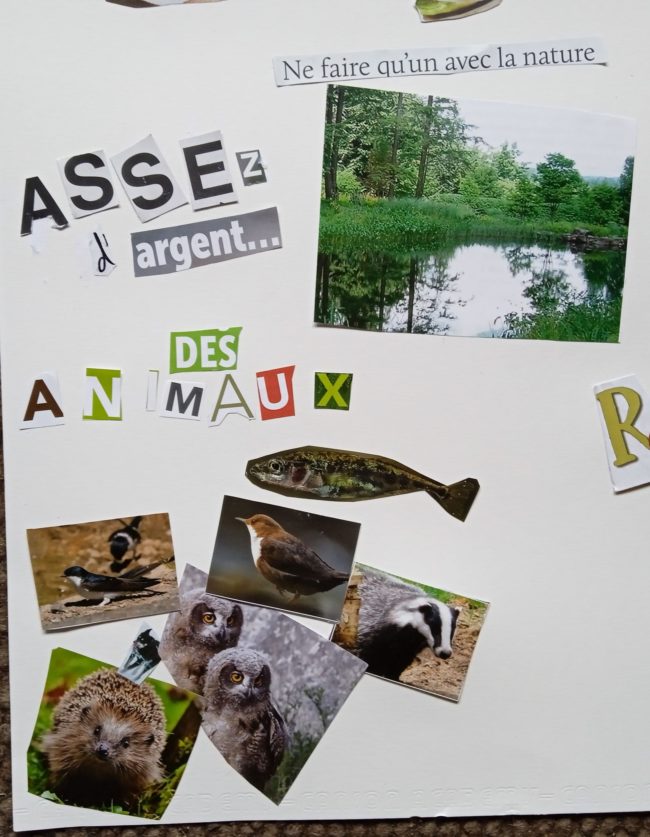 Recherche petite maison dans un habitat groupé, un village vivant, proche d’autres êtres humains