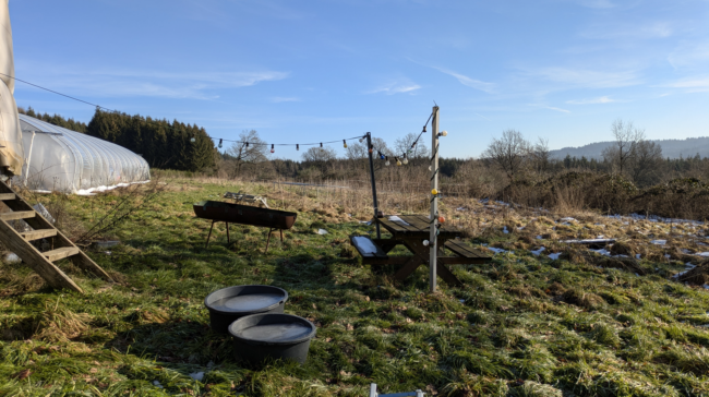 À vendre : terrain agricole avec yourte à Petit-Thier (Vielsalm, Ardenne Belge, province du Luxembourg) // exploitation maraîchère