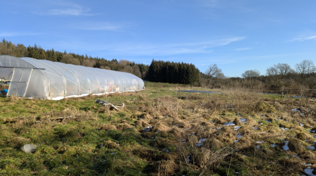 À vendre : terrain agricole avec yourte à Petit-Thier (Vielsalm, Ardenne Belge, province du Luxembourg) // exploitation maraîchère