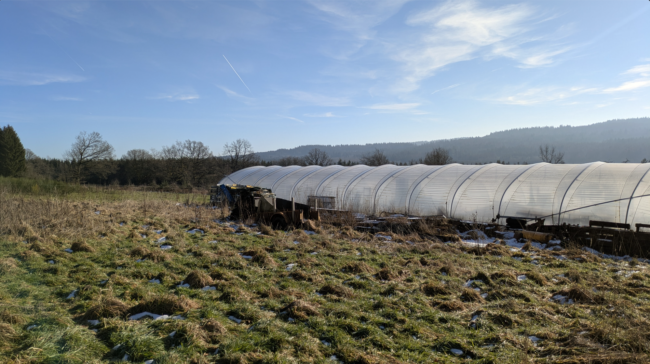 À vendre : terrain agricole avec yourte à Petit-Thier (Vielsalm, Ardenne Belge, province du Luxembourg) // exploitation maraîchère