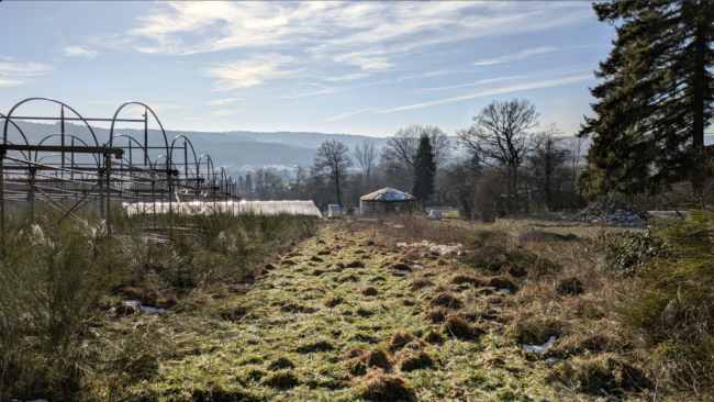 À vendre : terrain agricole avec yourte à Petit-Thier (Vielsalm, Ardenne Belge, province du Luxembourg) // exploitation maraîchère