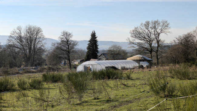 À vendre : terrain agricole avec yourte à Petit-Thier (Vielsalm, Ardenne Belge, province du Luxembourg) // exploitation maraîchère
