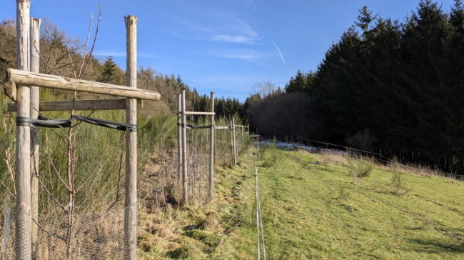 À vendre : terrain agricole avec yourte à Petit-Thier (Vielsalm, Ardenne Belge, province du Luxembourg) // exploitation maraîchère
