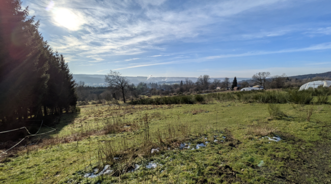 À vendre : terrain agricole avec yourte à Petit-Thier (Vielsalm, Ardenne Belge, province du Luxembourg) // exploitation maraîchère