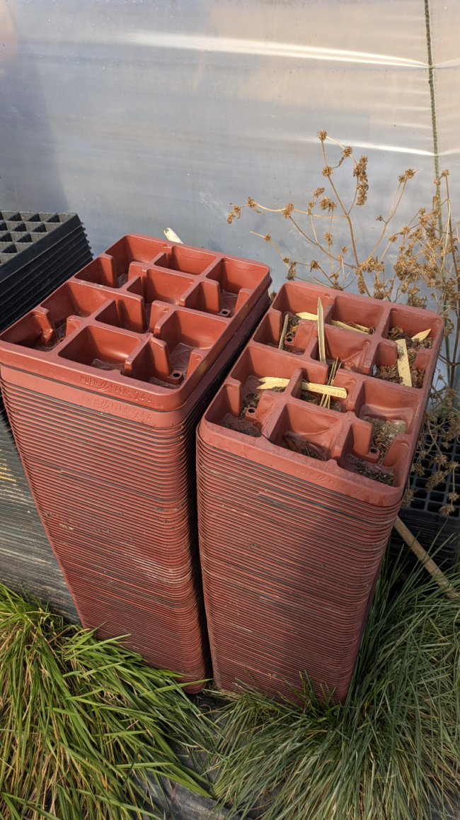 À vendre : terrain agricole avec yourte à Petit-Thier (Vielsalm, Ardenne Belge, province du Luxembourg) // exploitation maraîchère