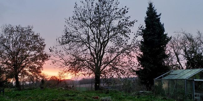 Colocation avec un projet artistique et citoyen autour du Vivant dans un beau lieu verdoyant