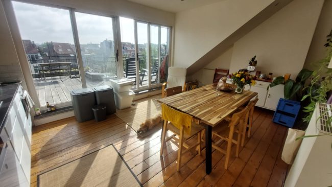 1 chambre dispo dans coloc de 3 à Etterbeek, début juin !