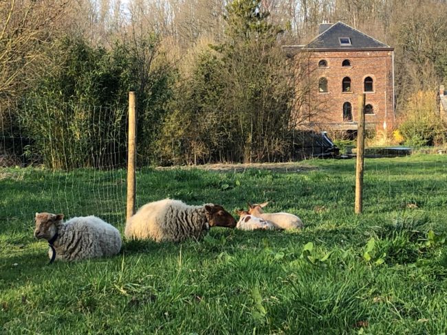 Moulin Josefa – co-résidence dans un habitat collectif