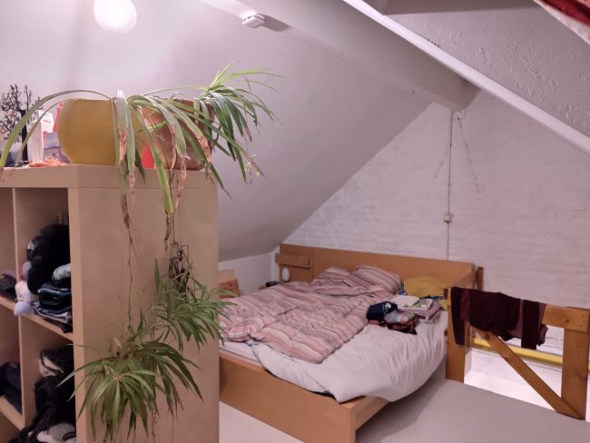 Chambre à louer dans colocation