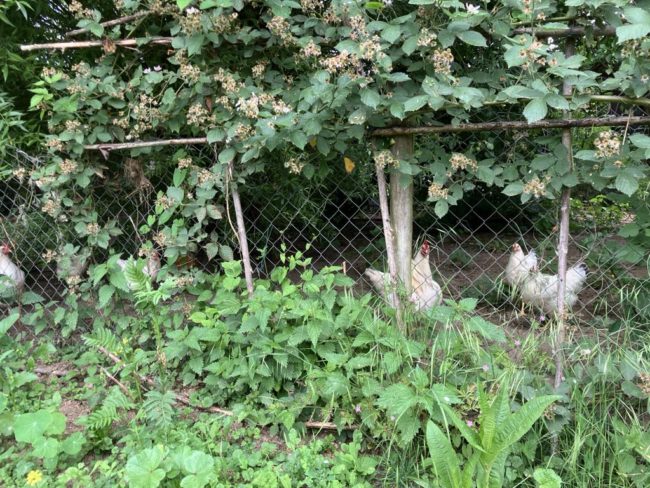 Recherche colocataires à Fernelmont