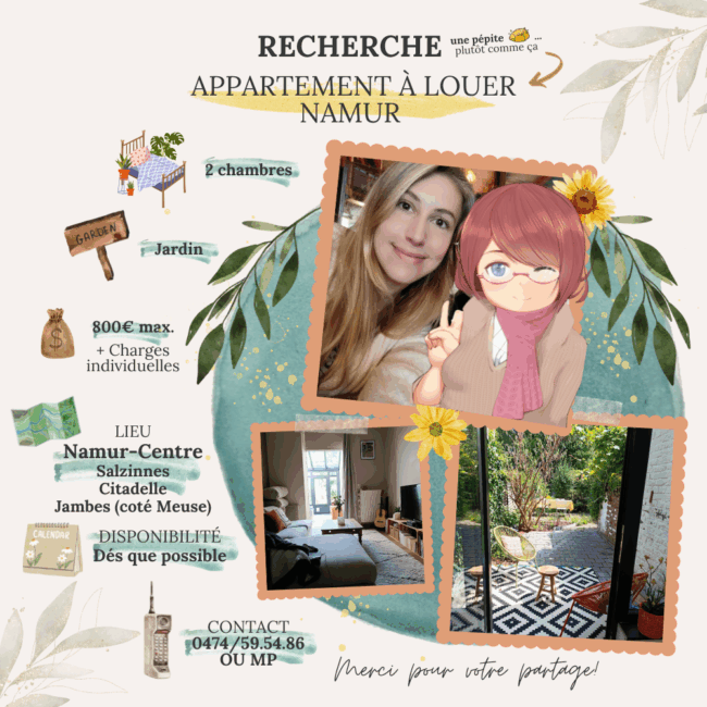 Cherche appartement à Namur centre