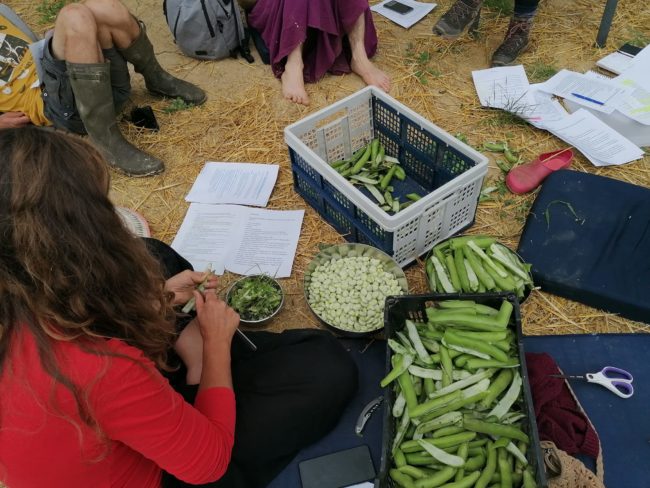La communauté Le Chêne recherche ses partenaires de Vie 💚
