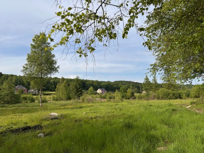 Ancienne bâtisse à louer pour colocation (5 à 6 chambres), bientôt entièrement rénovée. A Viroinval, dans un environnement naturel exceptionnel. Disponible dès la fin de l’été