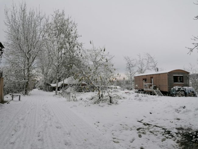 La communauté Le Chêne recherche ses partenaires de Vie 💚