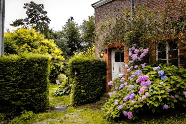 Une chambre se libère au Château Tutu !