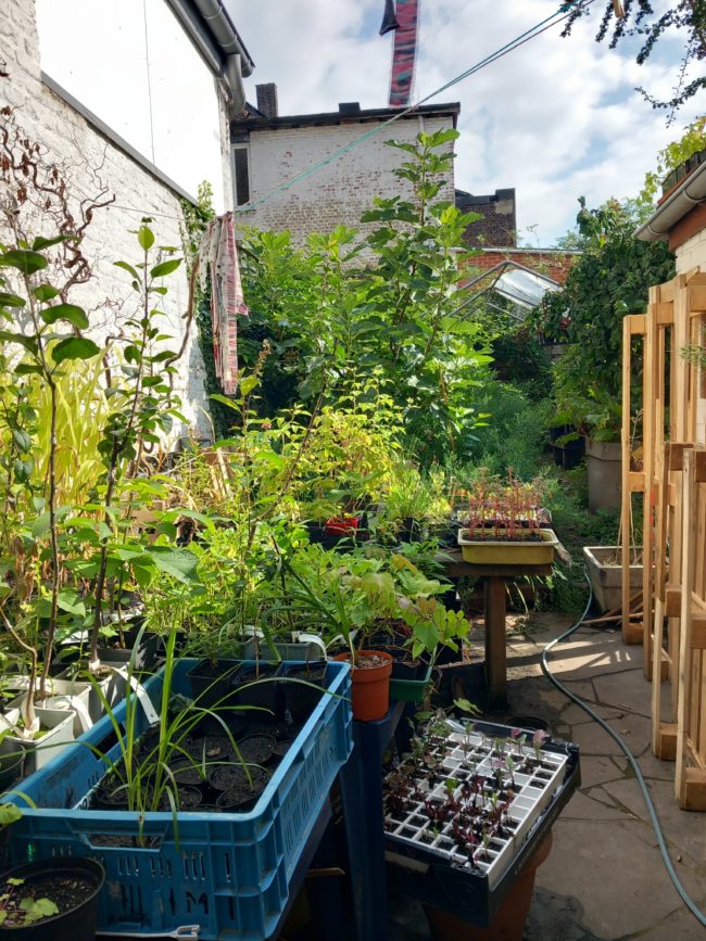 2 chambres dispos en coloc dans une grande maison à Namur