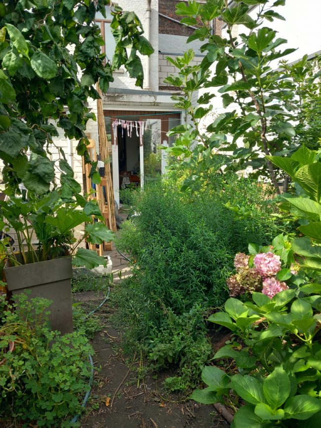 2 chambres dispos en coloc dans une grande maison à Namur