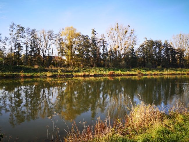 🌿 Colocation joyeuse et cosy en Brabant Wallon – 2 chambres disponibles dès septembre (phase 1) 🌿