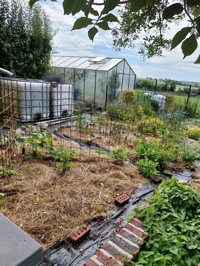 J’ai trouvé l’endroit parfait pour un habitat groupé ! Prêts à vous investir avec moi dans son acquisition et sa création ?