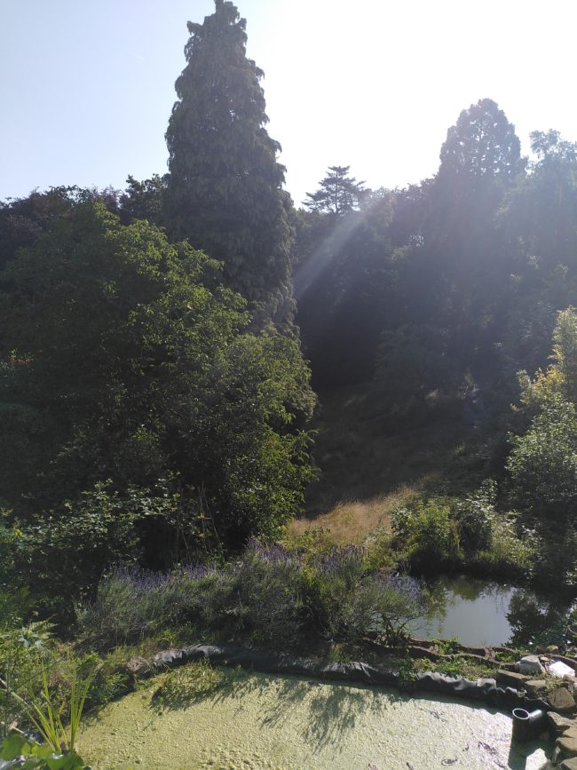 🏡🪴Ottignies 🌳- Appartement indépendant libre pour octobre dans un petit habitat groupé🌻🏡