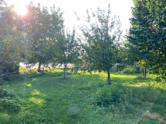 2 chambres se libèrent dans une coloc au sein d’un Habitat Groupé à Spy !