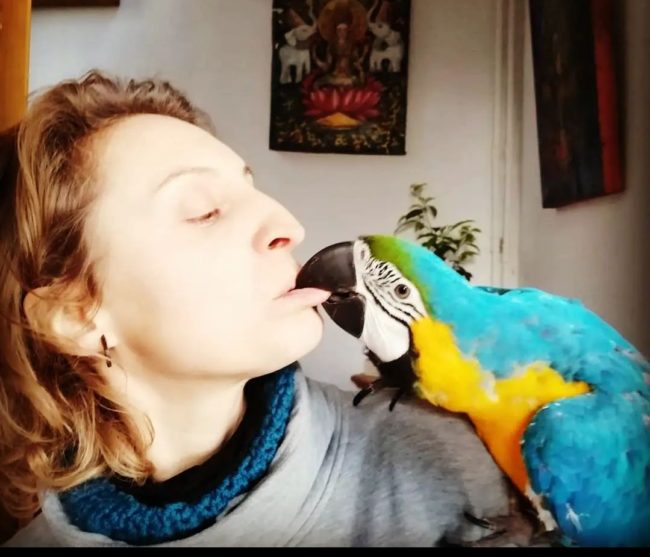 CHERCHE TERRAIN AVEC DES ANIMAUX POUR ACCUEILLIR MA YOURTE ET MOI