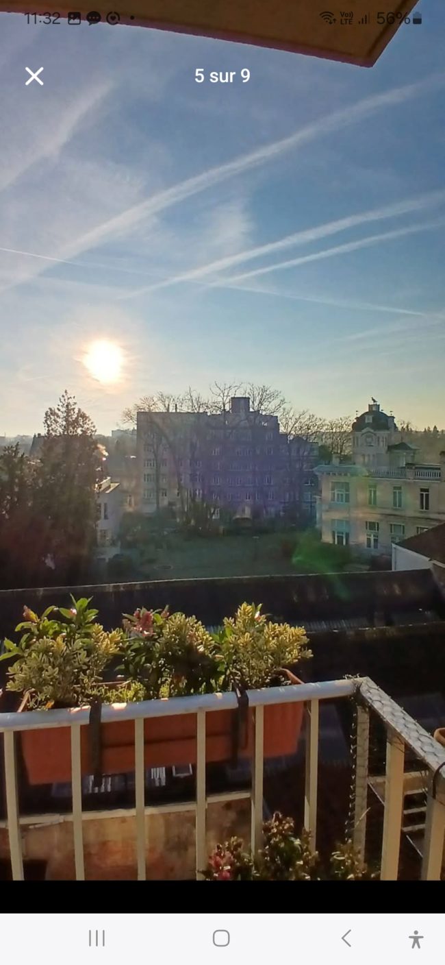 Jolie chambre dans un grand appartement en colocation avec Marie (Bois de la Cambre)