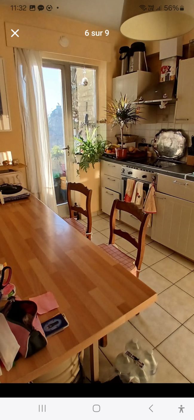 Jolie chambre dans un grand appartement en colocation avec Marie (Bois de la Cambre)