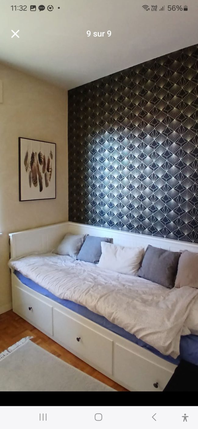 Jolie chambre dans un grand appartement en colocation avec Marie (Bois de la Cambre)
