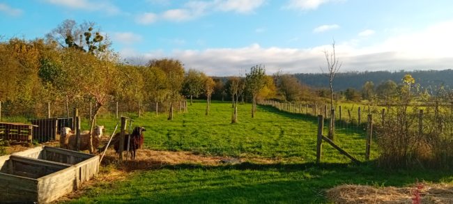Habitat léger sur terrain de ares à Torgny (Gaume )