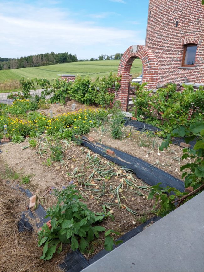 Nouveau projet intergénérationnel à Grandrieu ! Découvrez son potentiel !