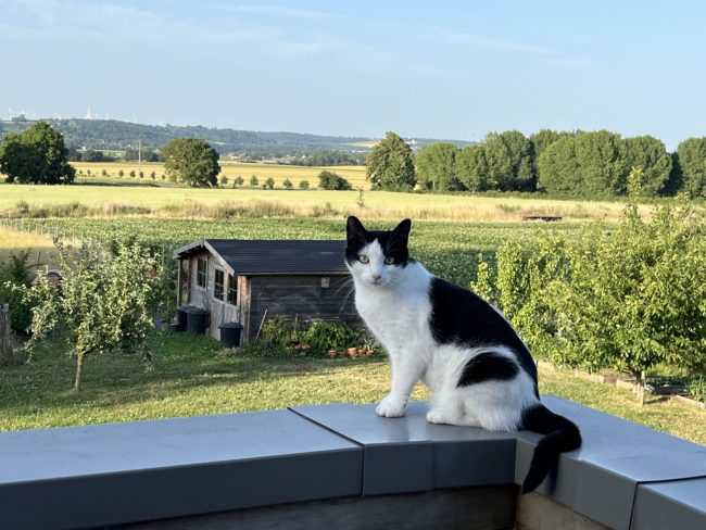 Appartement Abbeyfield Couthuin