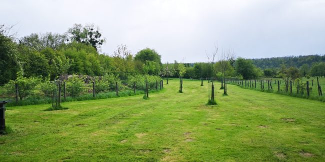 Habitat léger sur terrain de ares à Torgny (Gaume )