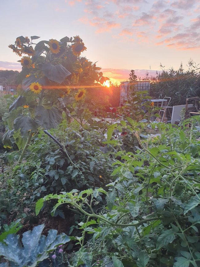 Nouvelle Recherche Chaumière