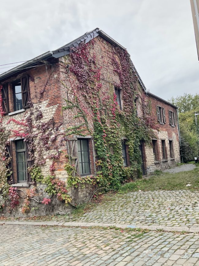 Cherche locataires