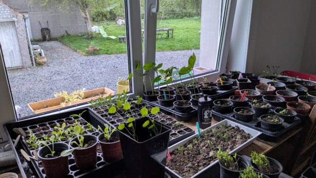 Ottignies – Une chambre dans une grande coloc avec potager et poulailler (pour fin décembre)