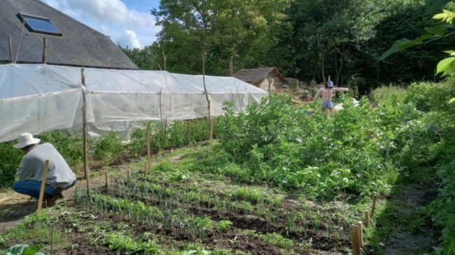 Ottignies – Une chambre dans une grande coloc avec potager et poulailler (pour fin décembre)