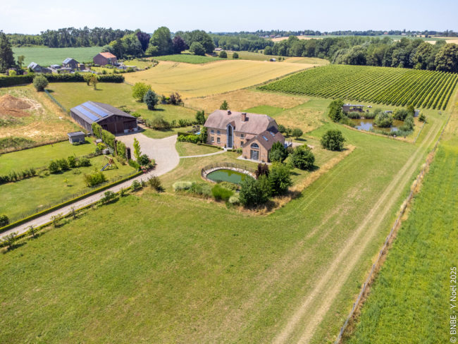 🌿 Vivez une expérience de colocation extraordinaire dans l’une des plus belles villas du Brabant wallon ! ❤️🏡