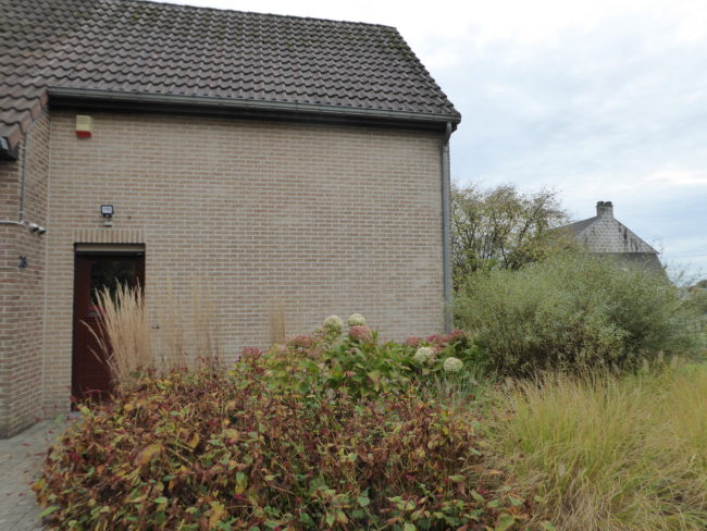 Habitat kangourou à Sombreffe pour une personne ou un couple sans enfant